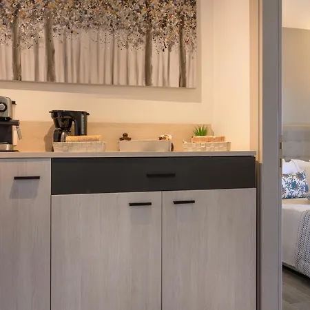 Apartahotel M&b Boutique Nea Roda